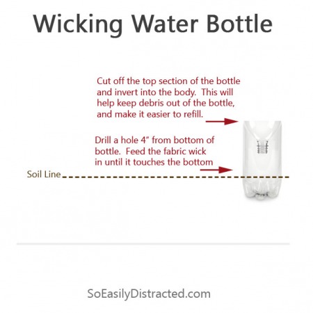 2 Litter Bottle Water Wicking Bottle