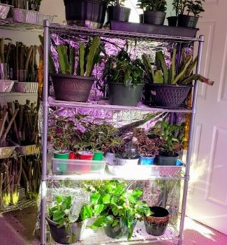 Diy Indoor Portable Greenhouse
