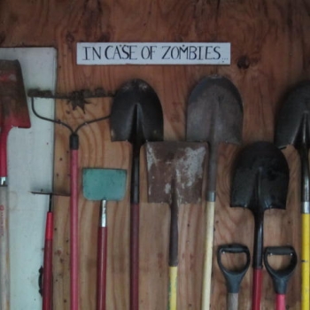 Organizing The Garden Tool Shed