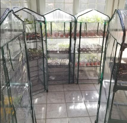Diy Portable Indoor Greenhouse And Tips So Easily Distracted