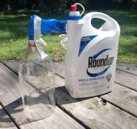 DIY Plastic Bottle Weed Killer Spray Shield