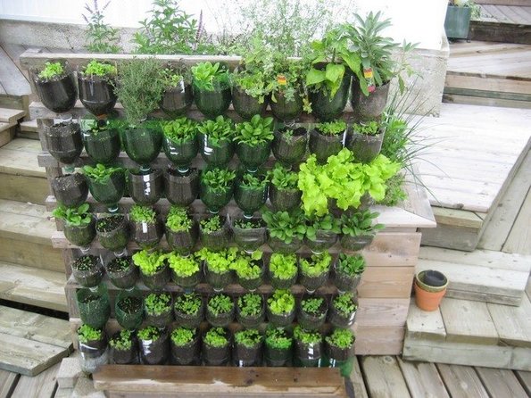 Diy Recycled Plastic Bottle Vertical, How To Make A Wall Garden With Plastic Bottles