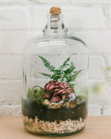 Soda Bottle Terrarium Inspiration
