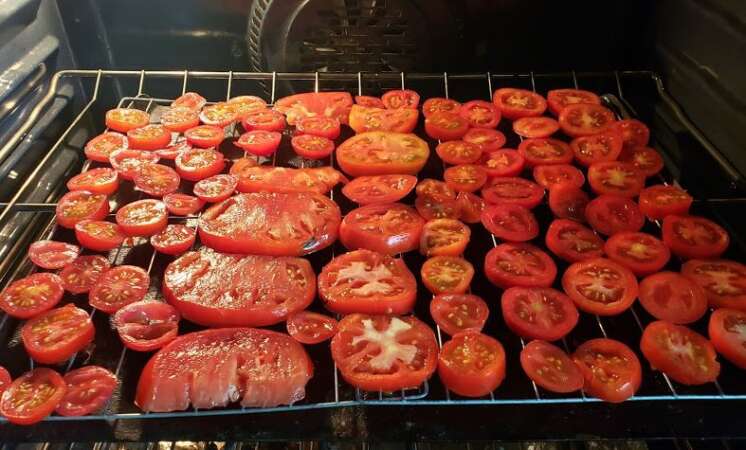 Sun Dried Oven Tomatoes Sliced Baking